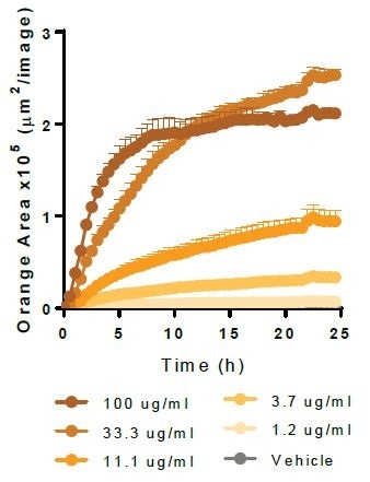 Beta-Amyloid (1-42).