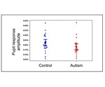 Dysregulation in the brainstem may explain atypical attentional behaviors in people with autism