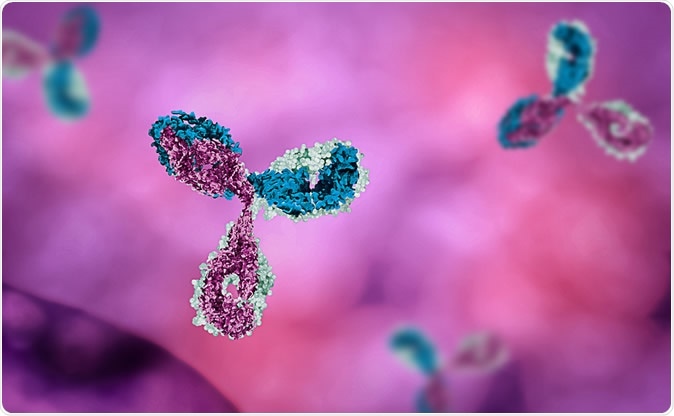 Antibody illustration: Image Credit: Mirror-Images / Shutterstock