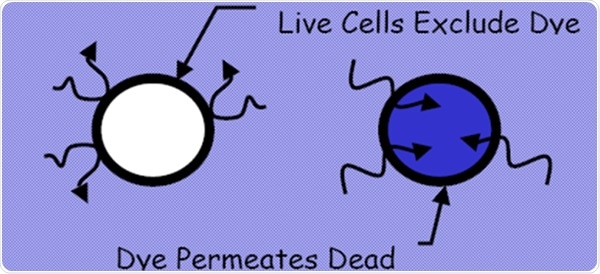 Dye exclusion method from EP 2.7.29 and USP <1046>.
