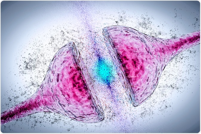 Dopamine Neurotransmitter