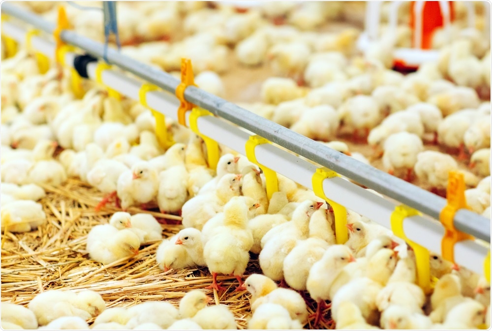 Image Credit: David Tadevosian / Shutterstock