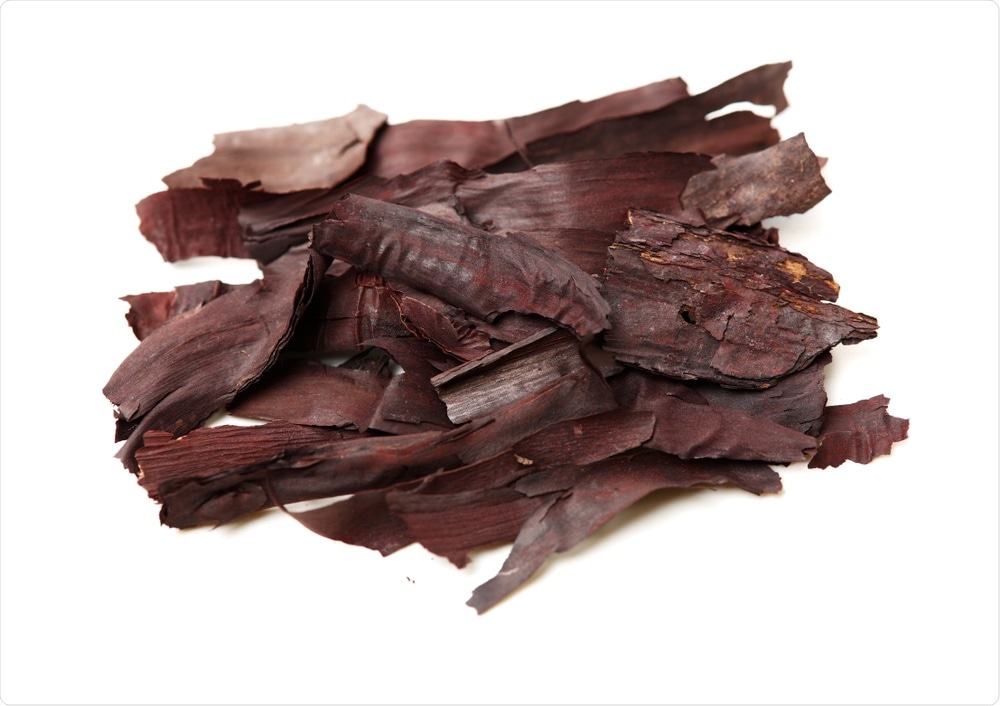 Lithospermum Erythrorhizon. Image Credit: JIANG HONGYAN / Shutterstock