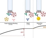 New assay improves detection of SARS-CoV-2 antibodies
