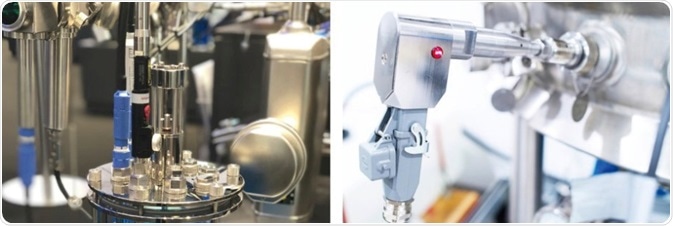 Monitoring of a Cell Culture Using Cross-Scale In Situ Raman