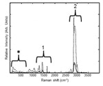 Nondestructive Analysis of Unsaturation of Fats in Pork