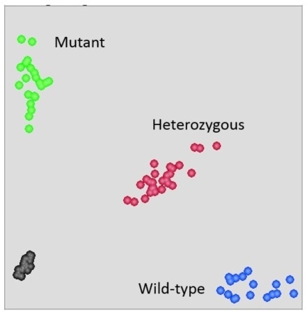 Uniform dispensing of mastermix across the wells provided clear and easy SNP allele cells