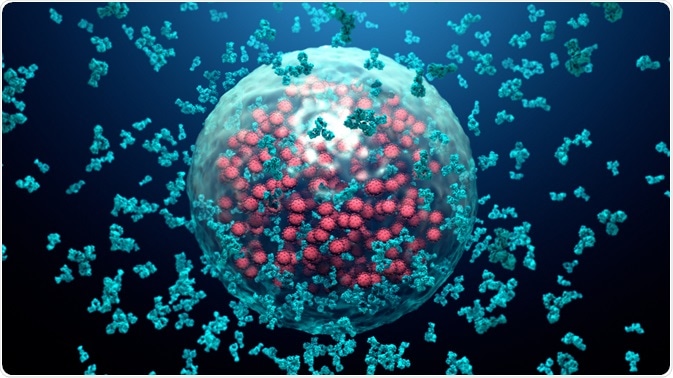 Antibodies killing virus