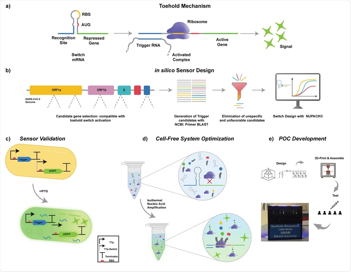 Schematics of the operating principle of toehold biosensors. b) Workflow for cell-free SARS-CoV-2 detection platform. Key target sites for detection of SARS-CoV2 were identified on the viral genome. Toehold triggers are then generated using NCBI Primer BLAST. The trigger candidates that have non-optimal free energy predictions and candidates that are not compatible with species specific amplification were eliminated. Eligible candidates were then used in the design of their respective toehold switches in silico using	NUPACK© software.	c) Validation of designed toehold switches. Triggers were cloned downstream of T7-LacO promoter. Switches were cloned downstream of T7-LacO promoter and upstream of sfGFP reporter gene. Both constructs were transformed into E. coli BL21 (DE3) cells. Cells that only have the switch plasmid and the cells that have both switch and trigger plasmids were induced with IPTG. d) Cell-free system optimization. e) POC development. Schematics of the development of the portable, low-cost electronic optical reader.