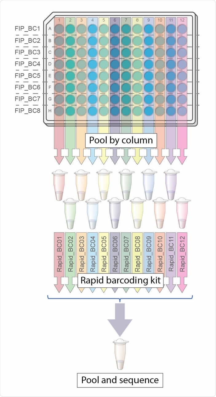 Overview of LamPORE laboratory workflow