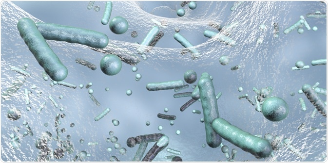 Antibiotic Resistant Bacteria