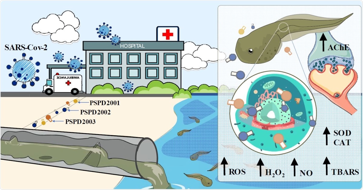 Study: An insight into neurotoxic and toxicity of spike fragments SARS-CoV-2 by exposure environment: A threat to aquatic health? Image Credit: Graphical Abstract / Original Article