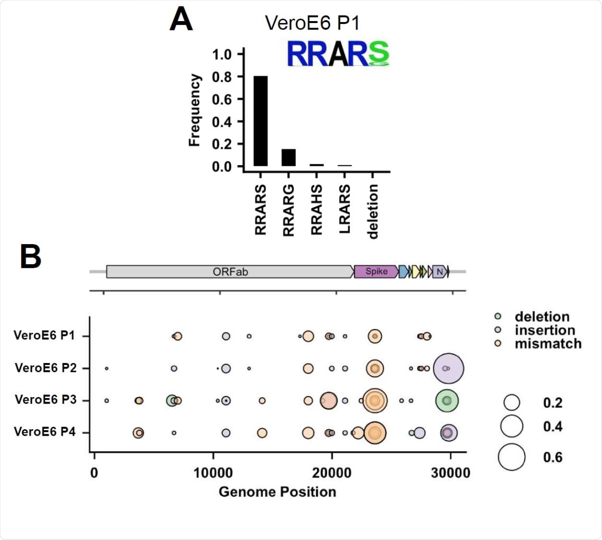 Deep-sequencing analysis of VeroE6 passage 1 virus multibasic cleavage site and full genome deep-sequencing analysis of passage 1-4 viruses. (A) Deep-sequencing analysis of the VeroE6 passage 1 virus stock. In each graph the amino acid sequence logo of the multibasic cleavage site is shown. (B) Full genome deep-sequencing analysis of VeroE6 passage 1, 2, 3 and passage 4 viruses.