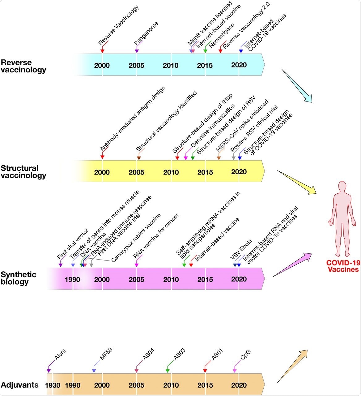 Technological advances that merged to develop a COVID-19 vaccine