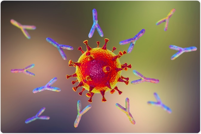 coronavirus antibodies