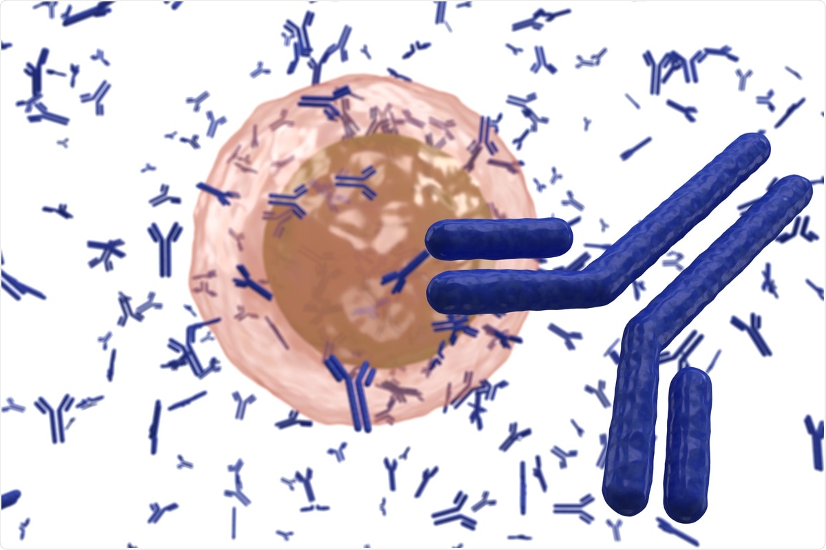 Study: Evolution of antibody immunity to SARS-CoV-2. Image Credit:  extender_01 / Shutterstock