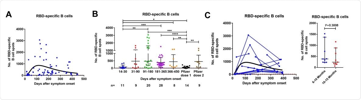 Cross-sectional analysis of SARS-CoV-2-specific memory T cell responses in COVID-19 patients in relation to disease severity. Dynamics of S1 (A-C) and S N M O (D-F) peptide pools-specific memory IL-2, IFN-γ, and IL2/IFN-γ-producing T cells in samples from COVID-19 patients with mild/moderate (A) and severe/critical (B) symptoms with the corresponding second order polynomial (mild/moderate) or log-normal (severe/critical) fitting curve (in black). The results were expressed as the number of spots per 300,000 seeded cells after subtracting the background spots of the negative control. Symbols represent individual subjects. The cutoff value (dashed red line) was set at the highest number of specific T cell spots for the negative controls (> 6 to 13 spots / 300 000 seeded cells depending on the T cell population). Mann-Whitney U test.