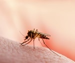 What is Malaria?