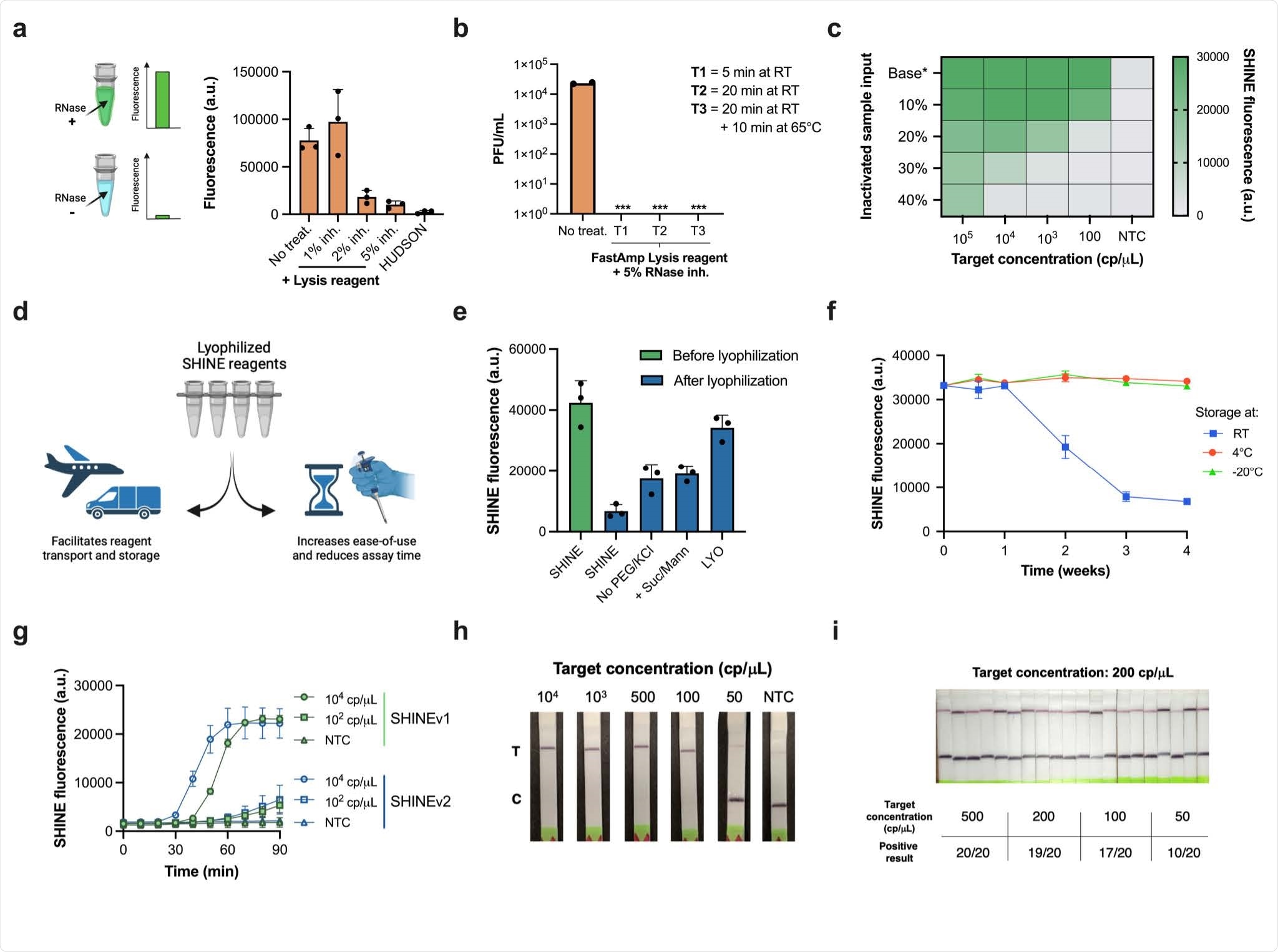 Performance of SHINEv2 on clinical samples. a, Schematic of side-by-side clinical sample testing using SHINEv2, BinaxNow, CareStart and RT-qPCR. NP, nasopharyngeal swab. b, SHINEv2, BinaxNow and CareStart test results for a subset of clinical NP swab samples with different Ct values (CDC EUA N1 RT-qPCR). C = control band; T = test band. No Amp., no amplification detected. For all test results, see Supplementary Fig. 8-10. c, Side-by-side clinical performance of SHINEv2, BinaxNow and CareStart versus RT-qPCR. d, Positive and negative test results for SHINEv2, BinaxNow and CareStart tests for RT-qPCR-positive clinical samples relative to viral RNA concentration and Ct value.