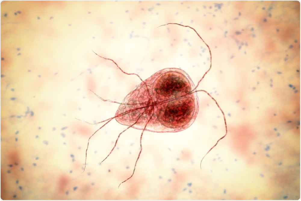 High-performance NMR technology for structural biology and materials research applications