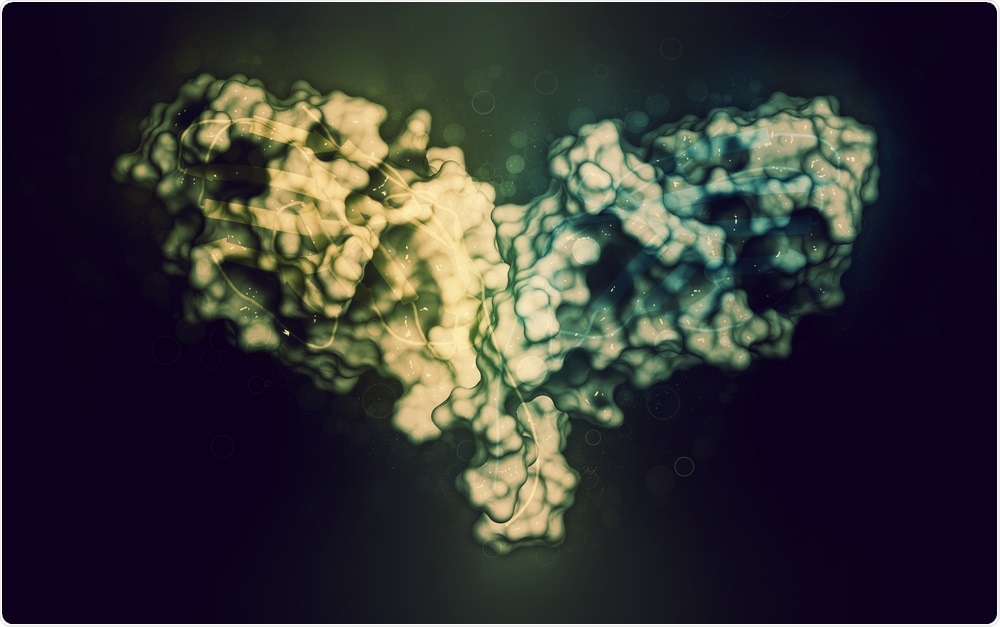 immune checkpoint blockade