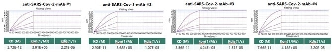 Anti-SARS-CoV-2 Monoclonal Antibodies Affinity as Assessed by BLI.