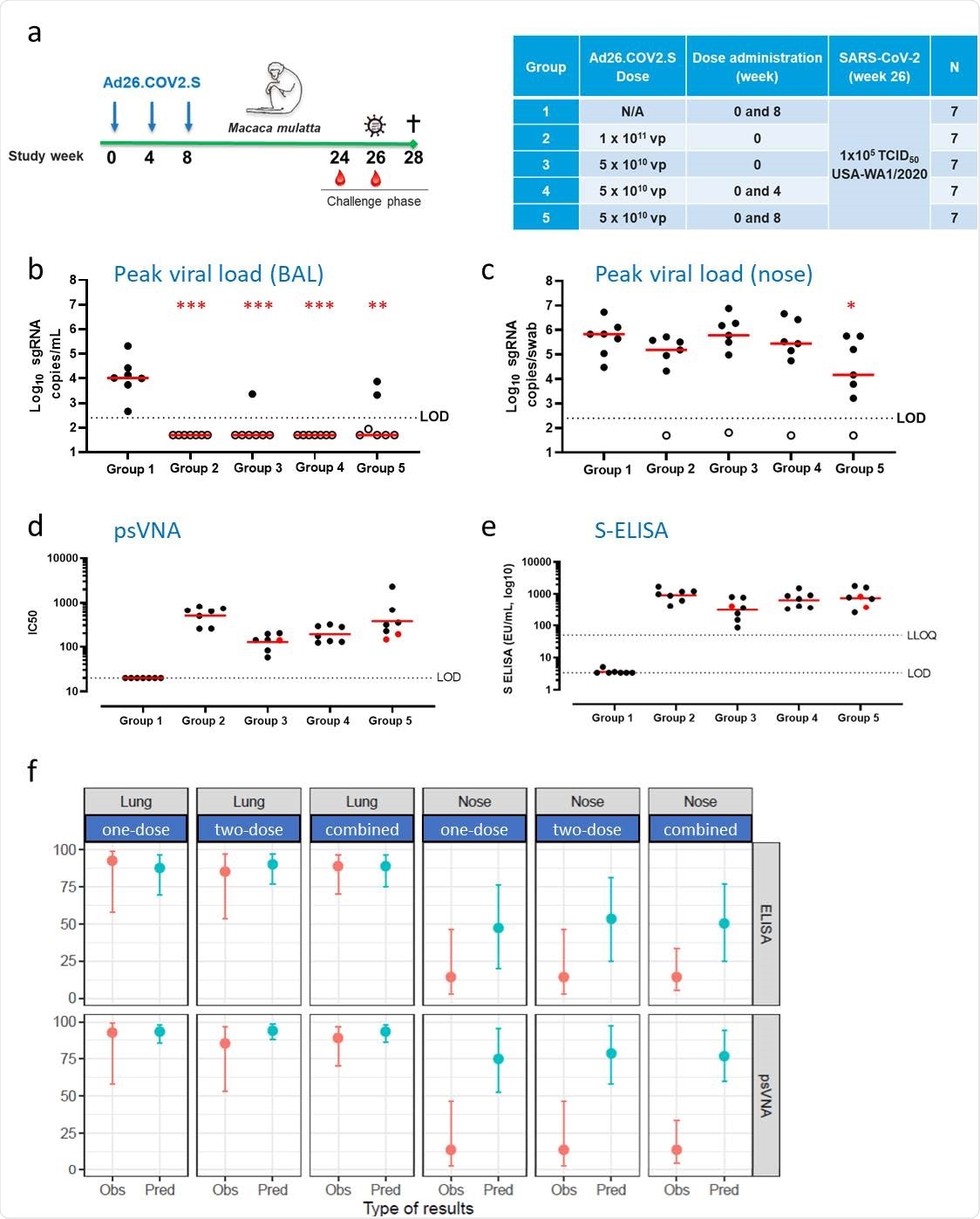 Durable protection against SARS-CoV-2 in the lower airways after vaccination with Ad26.COV2.S is predicted by binding and neutralizing antibody levels.