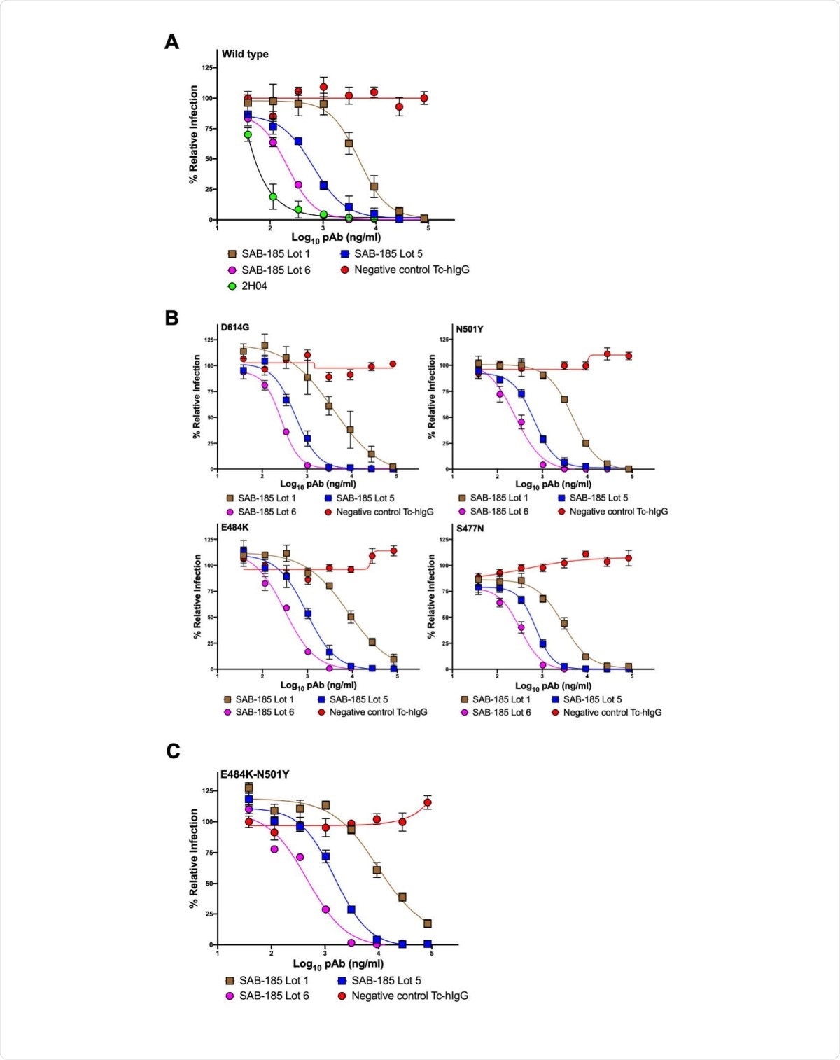 Neutralization of VSV-SARS-CoV-2 mutants by polyclonal antibody. (A) three SAB-185 pAbs were tested for neutralization of wild-type and (B) single amino acid substitution and (C) two amino acid substitution mutant VSV-SARS-CoV-2 (n = 4). Error bars represent the SEM. Data are representative of four independent experiments.