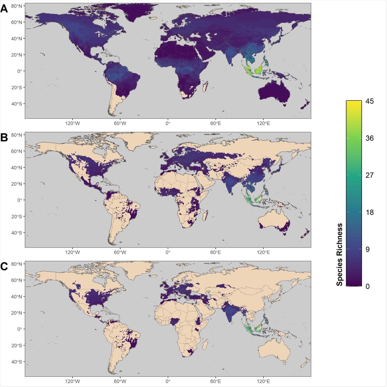Maps showing the global distribution of species with predicted capacity to transmit SARS-CoV452 2. (A) depicts global species richness of the top 10 percent of model-predicted zoonotic capacity. Ranges of this subset of species were filtered to those associated with human-dominated or human-altered habitats (B), and further filtered to show the subset of species that overlaps with areas of high human SARS-CoV-2 positive case counts (over 100,000 cumulative cases as of 15 February 2021) (C)