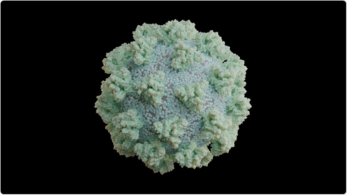 Study: Type-I interferon signatures in SARS-CoV-2 infected Huh7 cells. Image Credit: T520 / Shutterstock