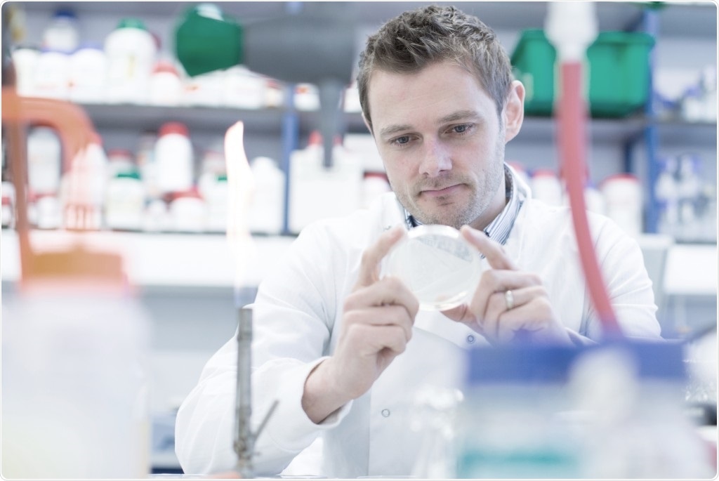 Molecule produced by the immune system can reduce potency of antibiotics