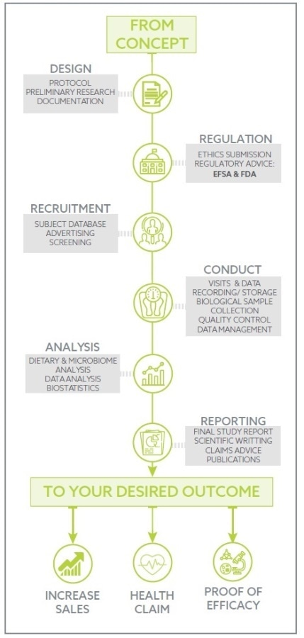 Investigating the Impacts of Probiotics on Overweight Adults