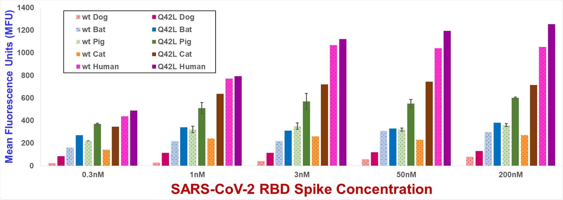 Yeast display flow cytometry spike binding assay MFU values for wild type and Gln42Leu mutant ACE2s. MFU values are the mean of duplicate measurements. Error bars, shown for wild type and Gln42Leu mutant pig ACE2s, represent standard deviations. MFU values for yeast not incubated with spike are typically 30-50 MFU.