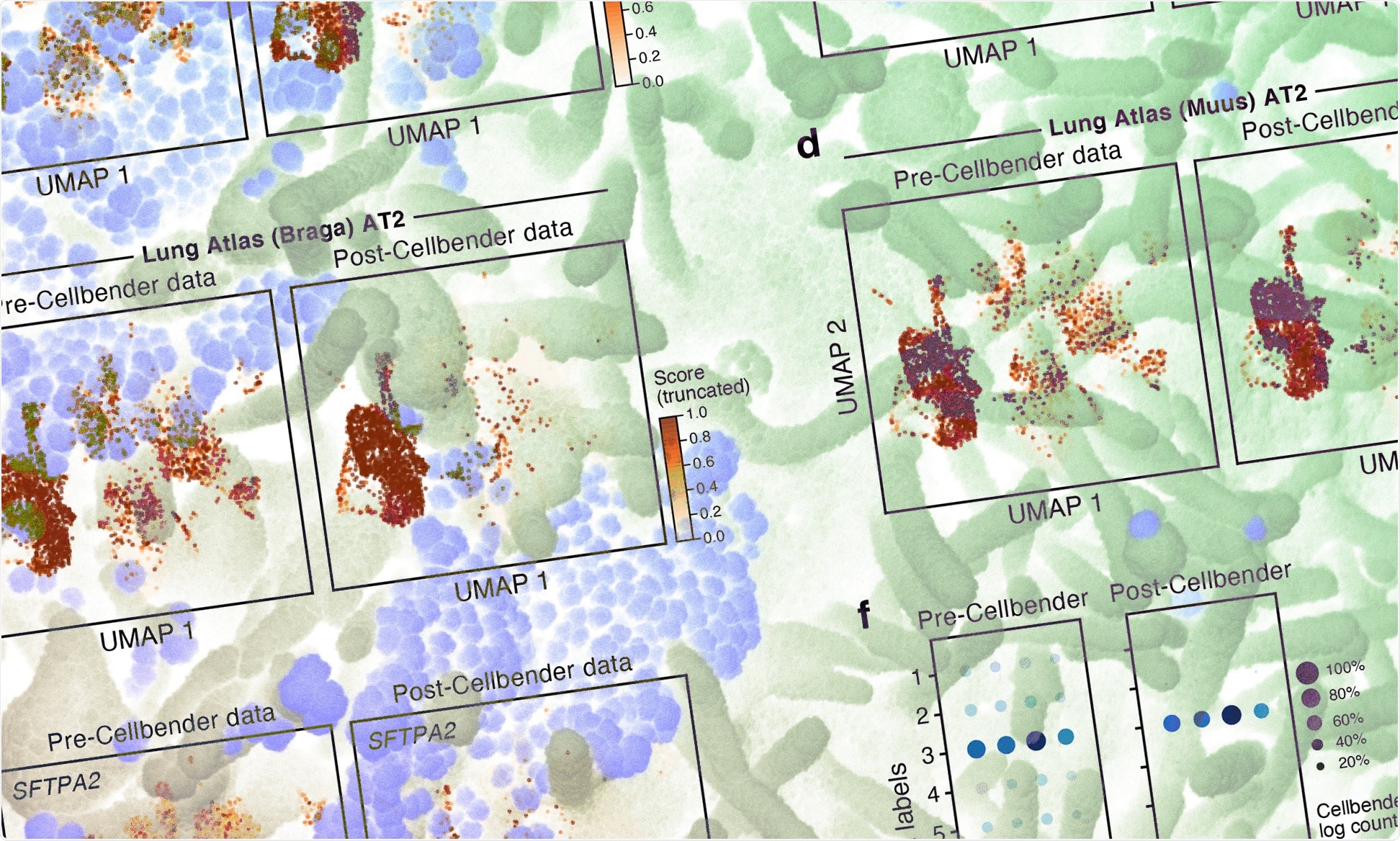 Study: A single-cell and spatial atlas of autopsy tissues reveals pathology and cellular targets of SARS-CoV-2