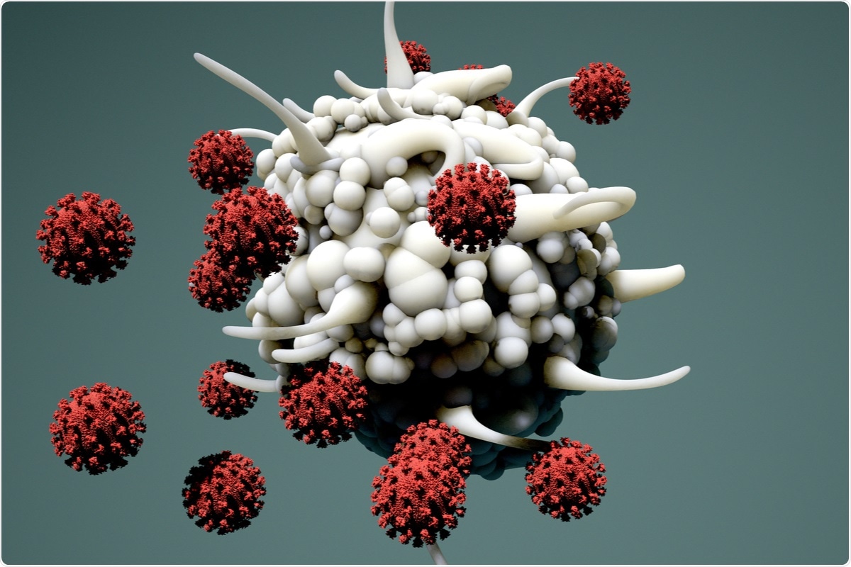 Study: Dendritic cell deficiencies persist seven months after SARS-CoV-2 infection. Image Credit: Design_Cells / Flickr