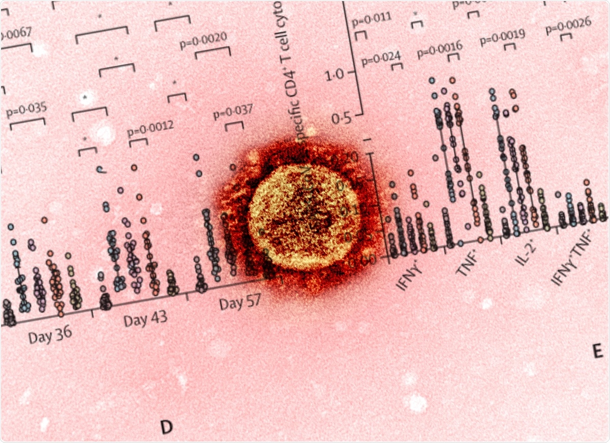 Study: Safety and immunogenicity of an MF59-adjuvanted spike glycoprotein-clamp vaccine for SARS-CoV-2: a randomised, double-blind, placebo-controlled, phase 1 trial