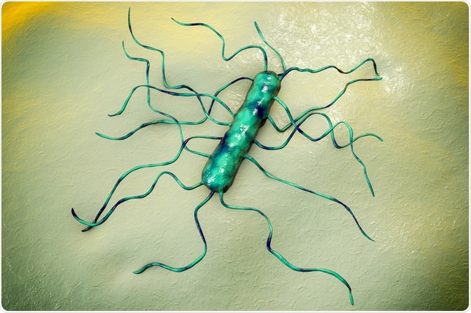 Image Credit: Kateryna Kon / Shutterstock