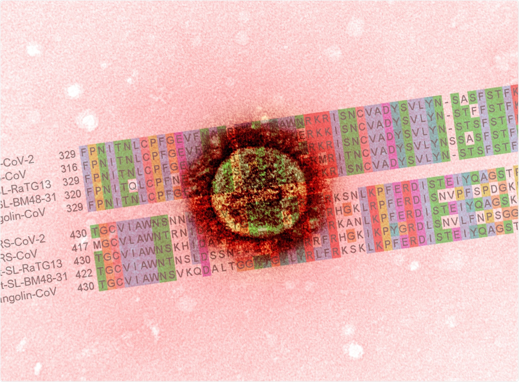 Study: Vaccine-escape and fast-growing mutations in the United Kingdom, the United States, Singapore, Spain, India, and other COVID-19-devastated countries. Image Credit: NIAID and Genomics
