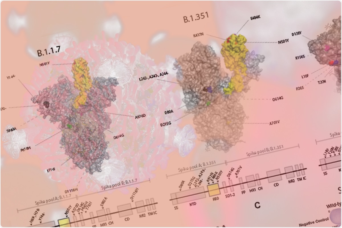Study: SARS-CoV-2 T-cell immunity to variants of concern following vaccination. Image Credit: CI Photos / Shutterstock