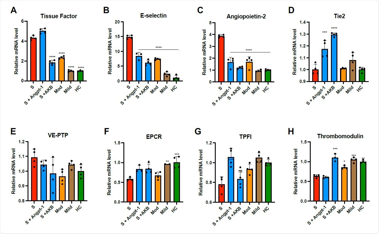 Plasma from patients with COVID-19 induces thromboinflammatory gene expression in endothelial cells. HUVECs were cultured overnight in the presence of 10% pooled plasma from patients with severe (S, ICU patients), moderate (Mod, non-ICU hospitalized patients), or mild (non-hospitalized outpatients) COVID-19 or healthy controls (HC) and analyzed for relative fold mRNA expression change of tissue factor (A), E-selectin (B), angiopoietin-2 (Angpt-2, C), Tie2 (D), vascular endothelial protein tyrosine phosphatase (VEPTP, E) endothelial protein C receptor (EPCR, F), tissue factor pathway inhibitor (TFPI, G), and thrombomodulin (H). When indicated, cells were pretreated with Angpt-1 (300 ng/mL) or AKB- 9778 (5 μM) for 30 min prior to incubation with plasma. Gene expression was normalized to that of actin and changes are shown relative to HC. Graphs represent the mean ± SD. Significance in comparison to severe (S) was determined by 1-way ANOVA using Dunnett post-test, *P < 0.05 **P < 0.01, ***P < 0.001 ****P < 0.0001.