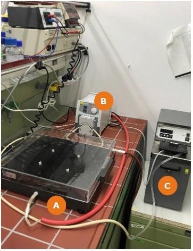 Setup of the PFGE apparatus. (A) shows the gel chamber in which the running buffer is located. This buffer is continuously circulated by a pump (B). About 10 meters of silicone tubing are placed in a cooling unit (C) to keep the buffer constant at low temperature.