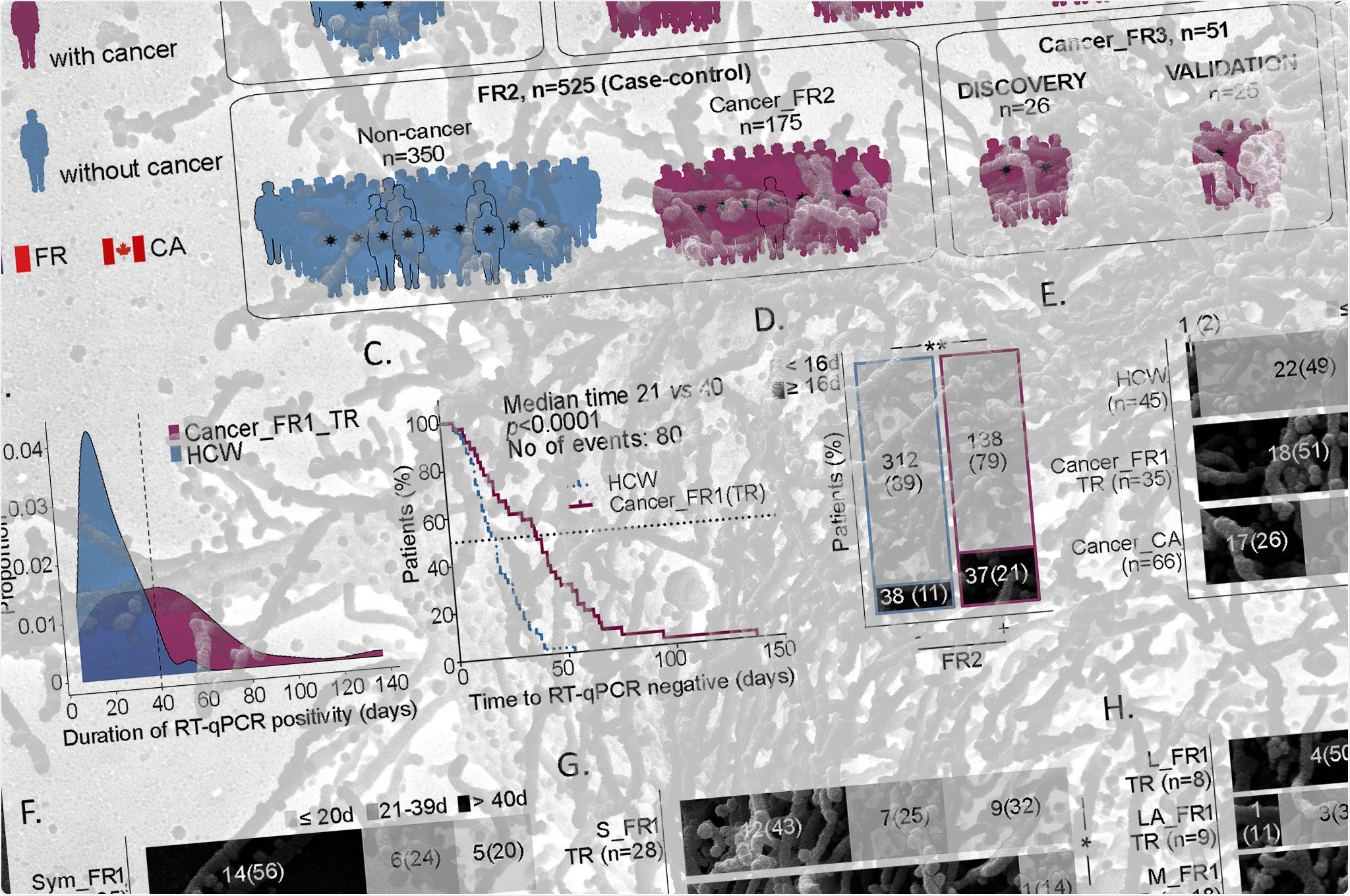 Study: Prolonged SARS-CoV-2 RNA virus shedding and lymphopenia are hallmarks of COVID-19 in cancer patients with poor prognosis