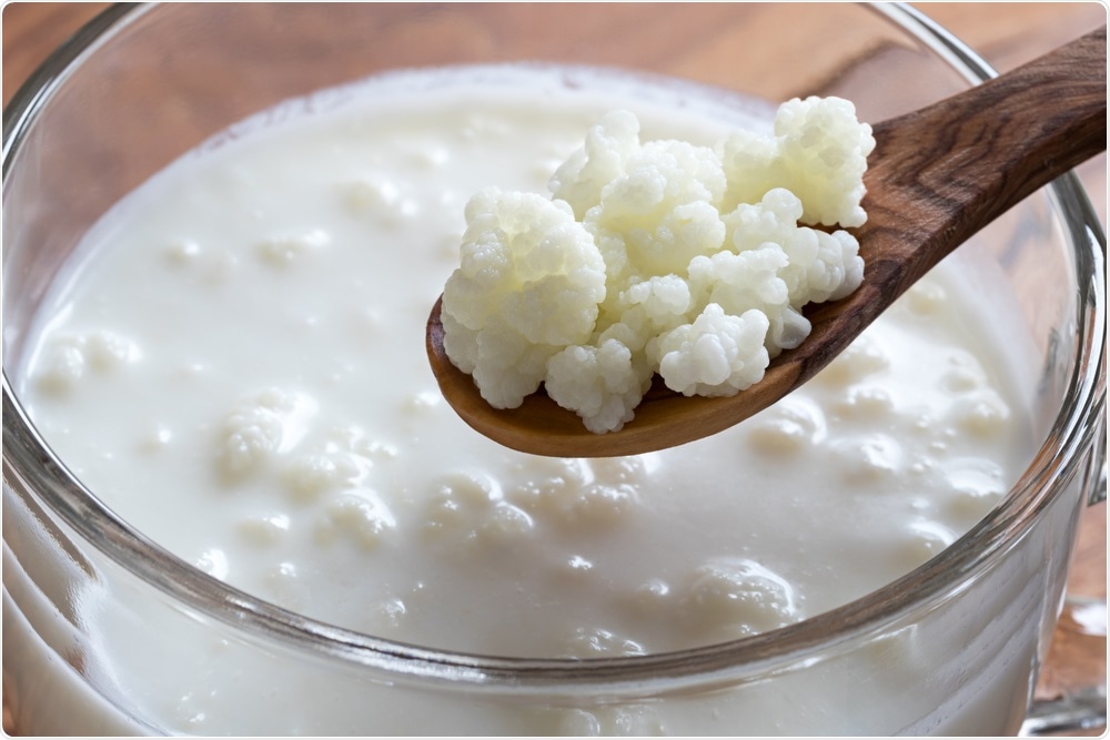 Study: Commercial kefir products assessed for label accuracy of microbial composition and density. Image Credit: Madeleine Steinbach / Shutterstock