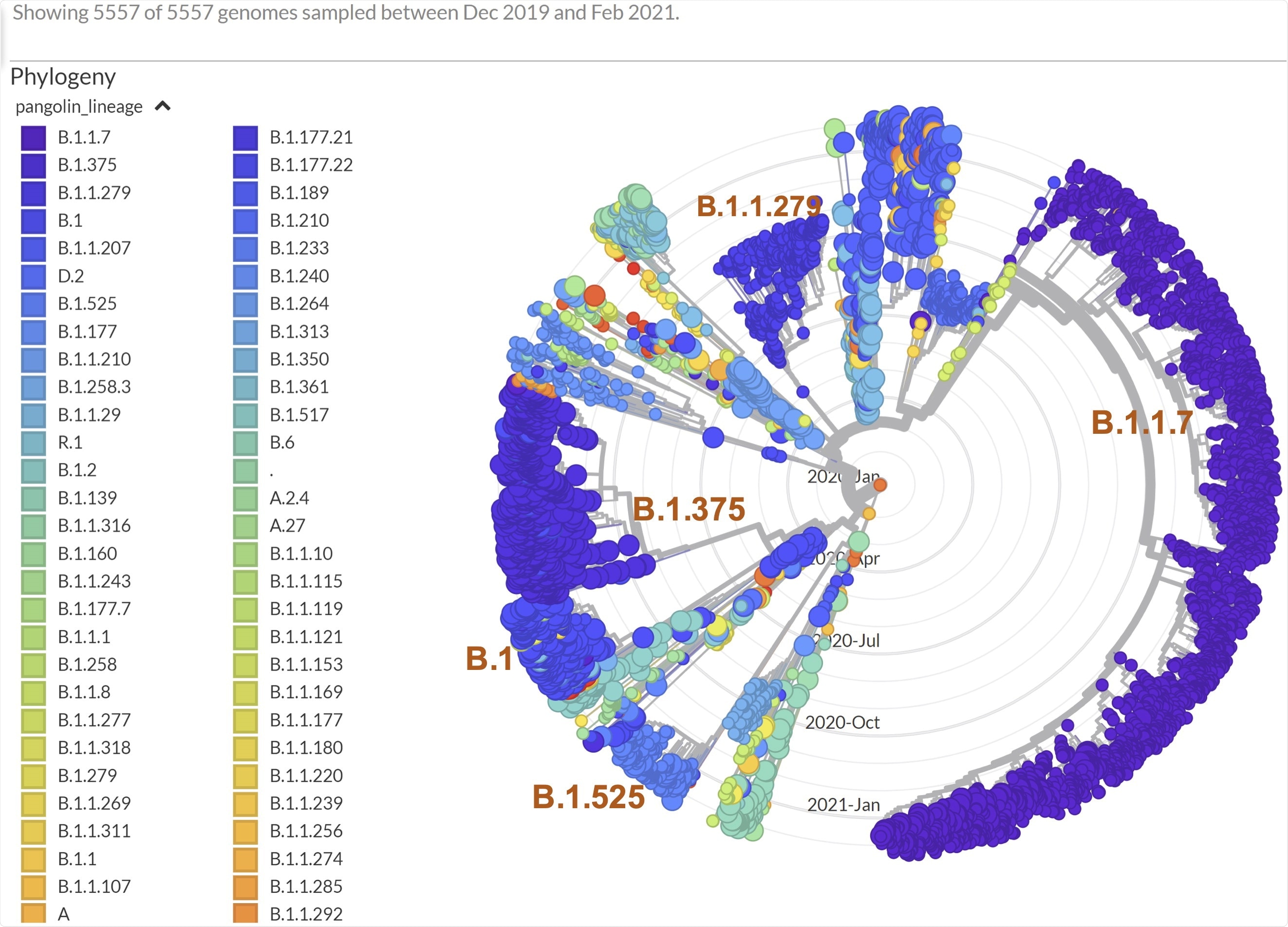 Phylogenetic analysis of viral genomes carrying missense M mutations, colored by lineage background.