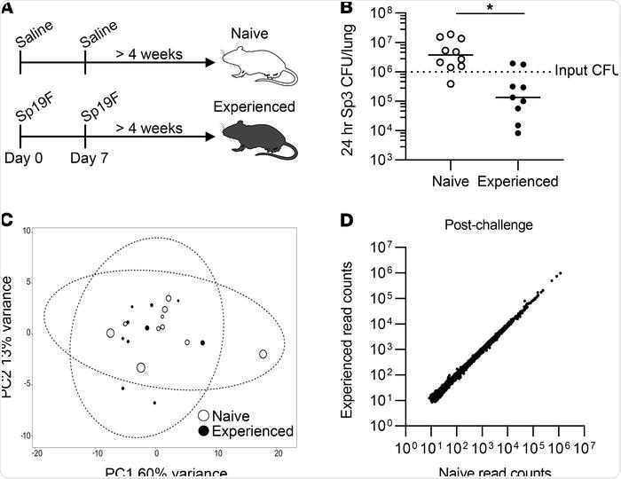 Pneumococcal exposures provide lung protection without extensive changes to the blood transcriptome.