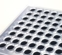 Optimized Tube Plate for Enzyme Studies