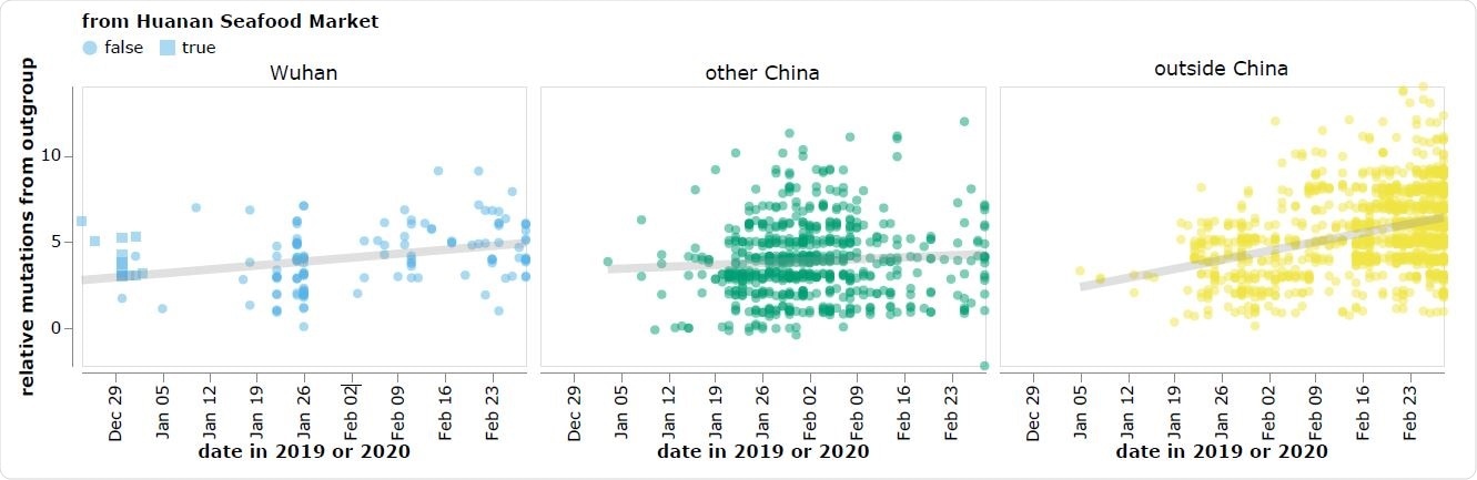 The reported collection dates of SARS-CoV-2 sequences in GISAID versus their relative mutational distances from the RaTG13 bat coronavirus outgroup. Mutational distances are relative to the putative progenitor proCoV2 inferred by Kumar et al. (2021). The plot shows sequences in GISAID collected no later than February 28, 2020. Sequences that the joint WHO-China report (WHO 2021) describes as being associated with theWuhan Seafood Market are plotted with squares. Points are slightly jittered on the y-axis. Go to https://jbloom.github.io/SARS-CoV-2_PRJNA612766/deltadist.html for an interactive version of this plot that enables toggling of the outgroup to RpYN06 and RmYN02, mouseovers to see details for each point including strain name and mutations relative to proCoV2, and adjustment of the y-axis jittering.