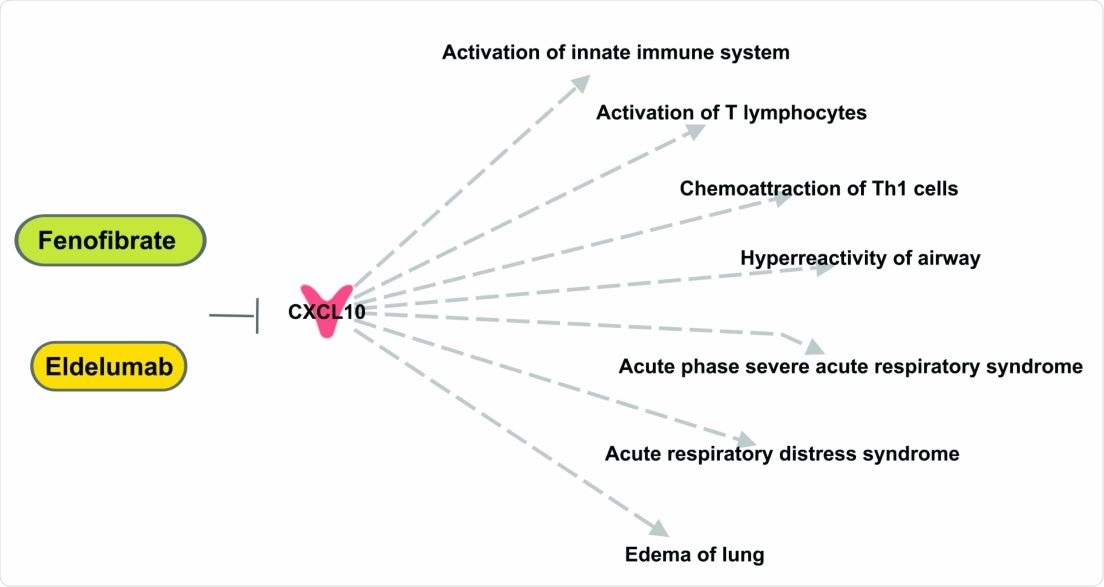 Top anti-SARS-CoV-2 target, CXCL10, affect inflammatory and immune responses. Eldelumab and Fenofibrate may be assessed for their effects in modulating COVID-19-related lung pathology.