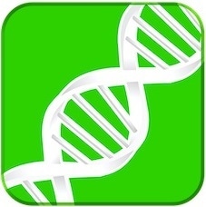 What is PicoGreen quantitation?