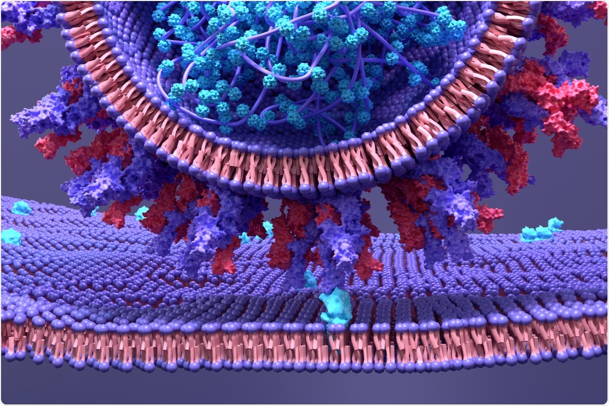 Study: Collaboration Between Host and Viral Factors Shape SARS-CoV-2 Evolution. Image Credit: Design_Cells / Shutterstock